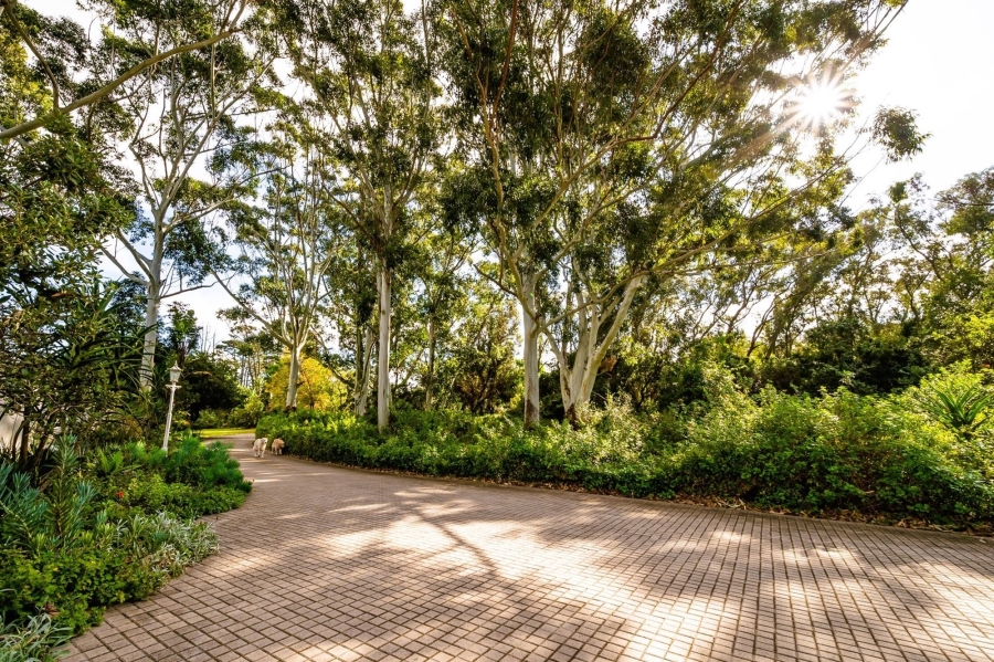 5 Bedroom Property for Sale in Theescombe Eastern Cape